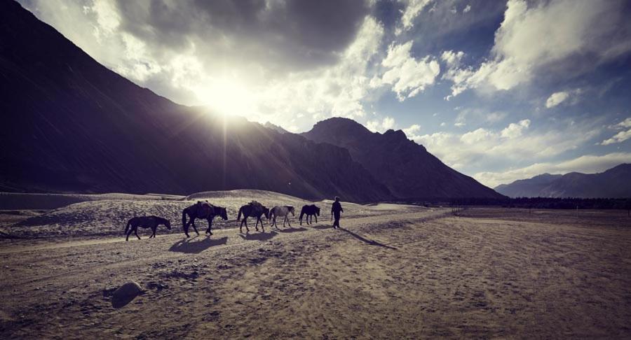 Chamba Camp Diskit Vale de Nubra Exterior foto
