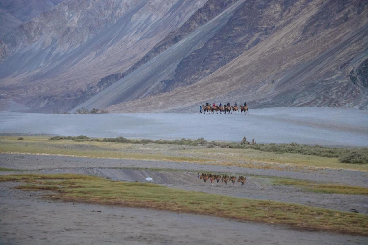 Chamba Camp Diskit Vale de Nubra Exterior foto