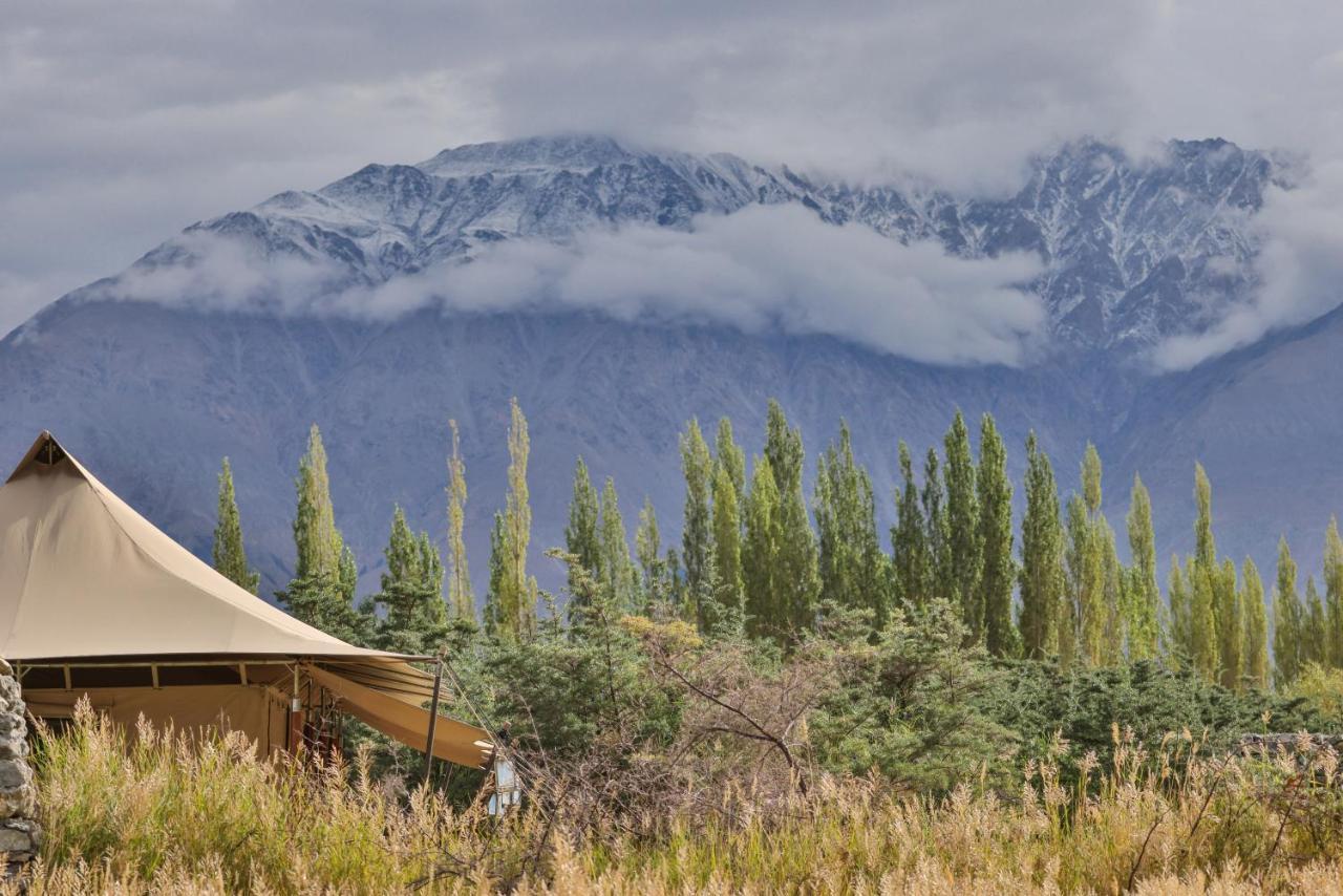 Chamba Camp Diskit Vale de Nubra Exterior foto